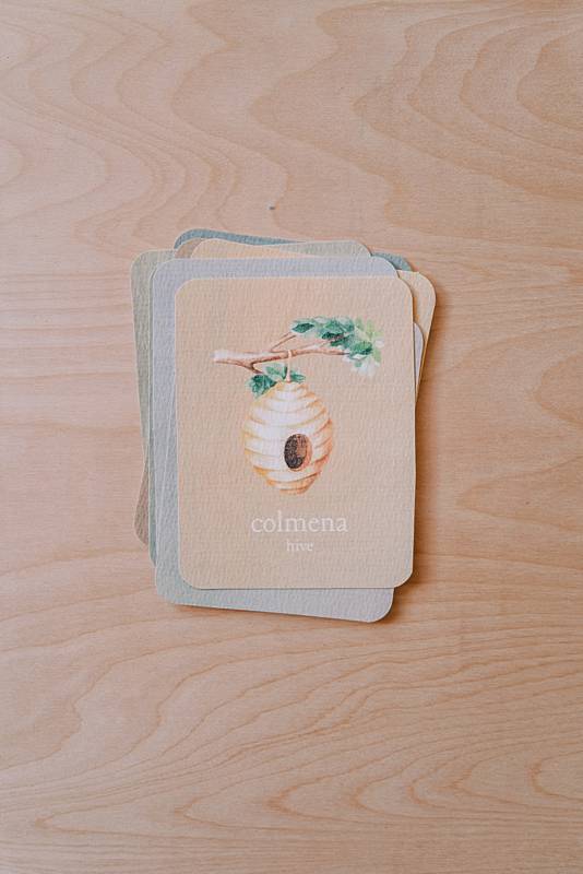 acorn-school-april-curriculum-insects_0001