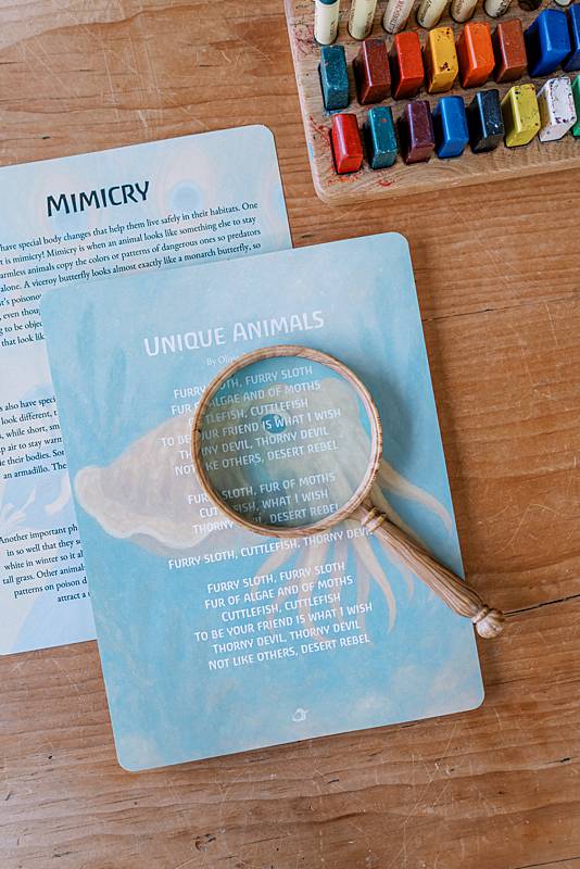 cards with magnifying glass on them