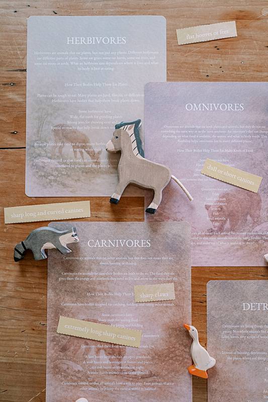 Wooden zebra and various animals on paper laid out on a table