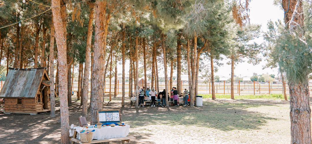 Image of children standing among trees outside on grass