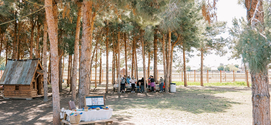 Image of children standing among trees outside on grass