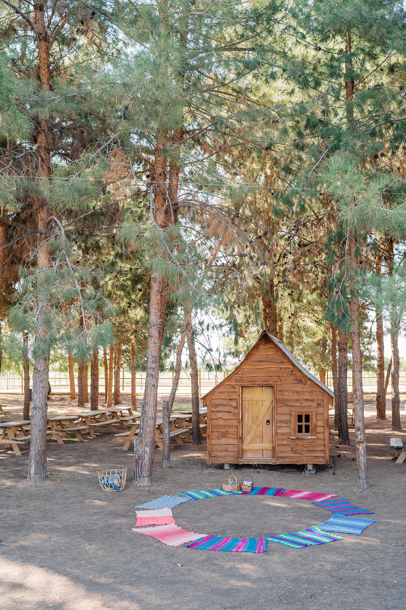 Wooden cabin in a forest with a colorful rug on the ground