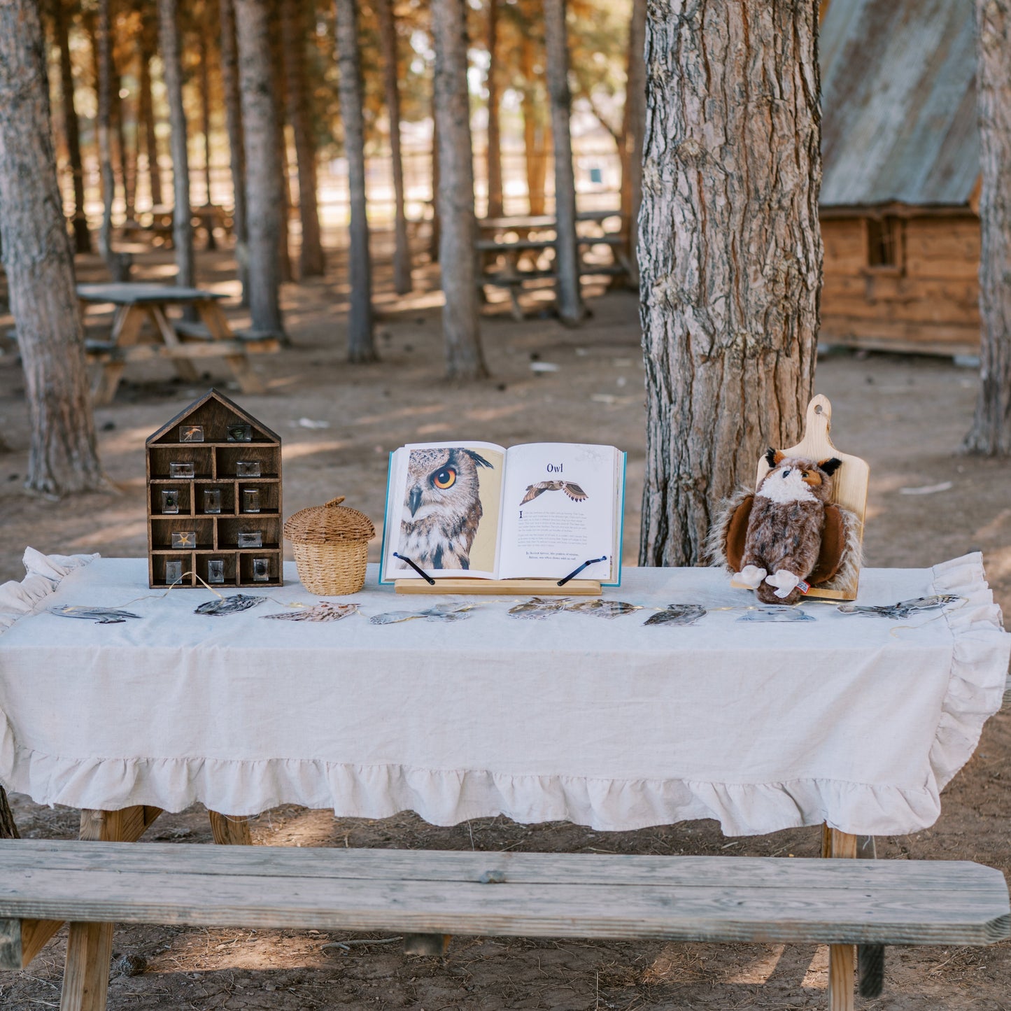 Table with a white tablecloth in a forest setting with a bench and rustic decor.