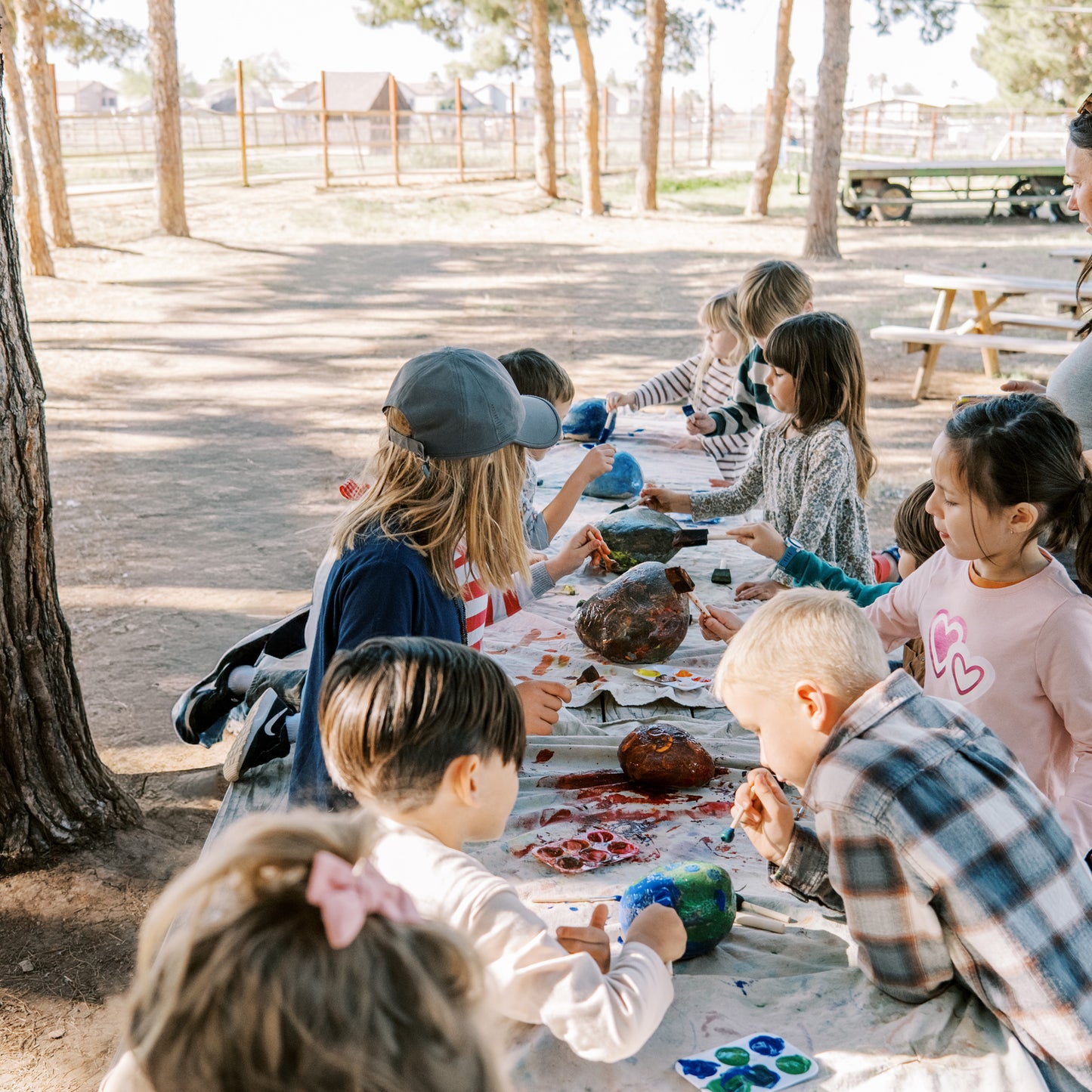5–9 Year Olds | Cactus Wrens