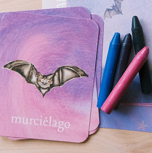 The bilingual vocabulary cards from Acorn School's Bats Curriculum.