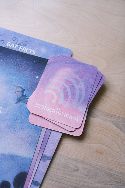 The bilingual vocabulary cards from Acorn School's Bats Curriculum.