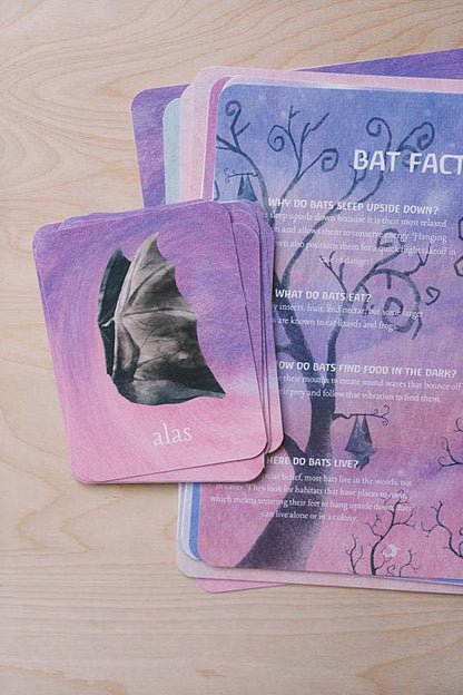 The bilingual vocabulary cards and an educational page from Acorn School's Bats Curriculum.