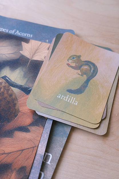 The cover page and bilingual vocabulary cards from Acorn School's Acorns Curriculum.