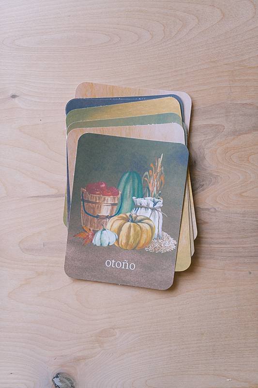 The bilingual vocabulary cards from Acorn School's Acorns Curriculum.