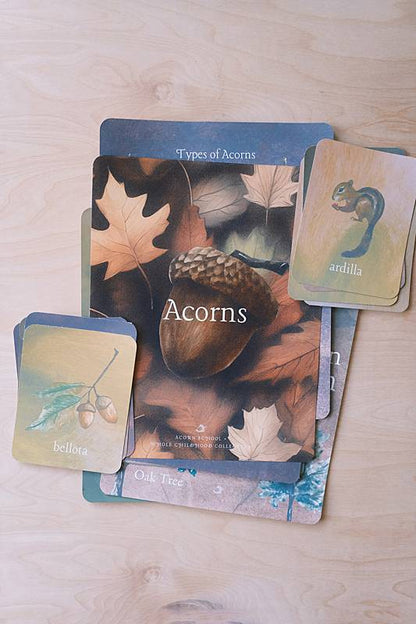 The cover page and bilingual vocabulary cards from Acorn School's Acorns Curriculum.