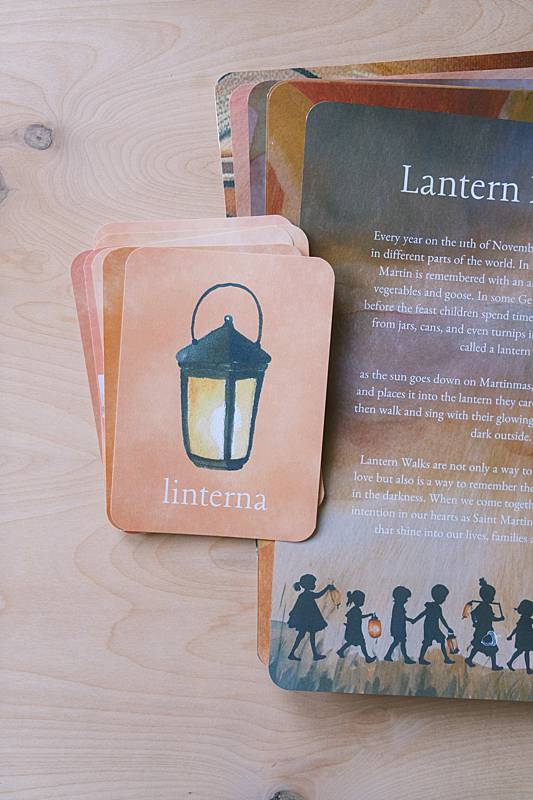 The bilingual vocabulary cards and an educational page from Acorn School's Martinmas Curriculum.