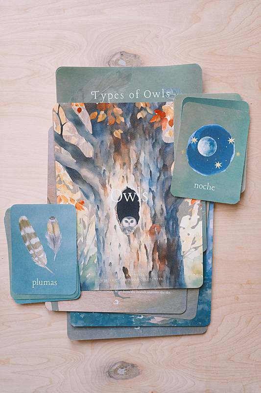 The cover page and bilingual vocabulary cards from Acorn School's Owls Curriculum.