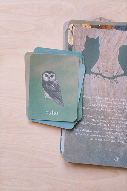 The bilingual vocabulary cards and a story page from Acorn School's Owls Curriculum.