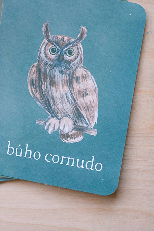 The bilingual vocabulary cards from Acorn School's Owls Curriculum.