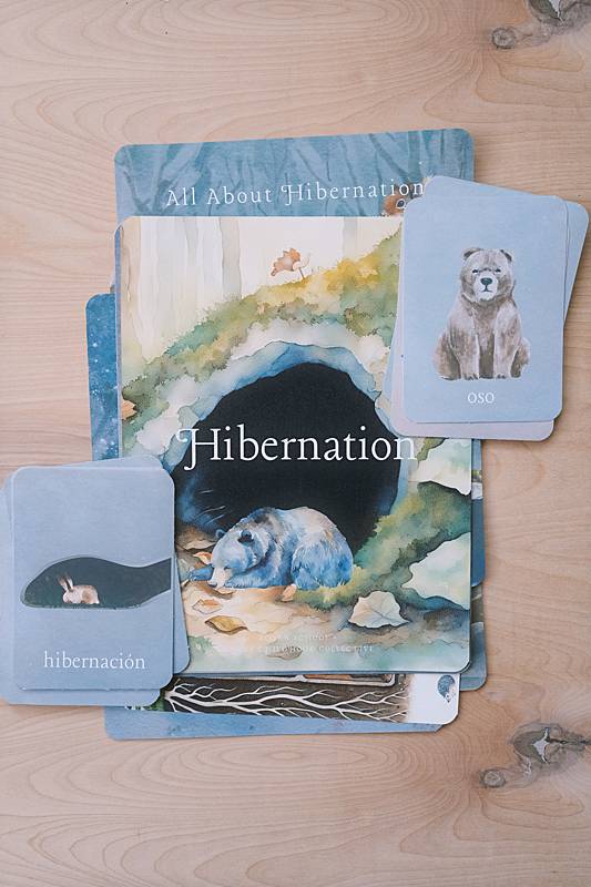 The bilingual vocabulary cards and cover page from Acorn School's Hibernation Curriculum.