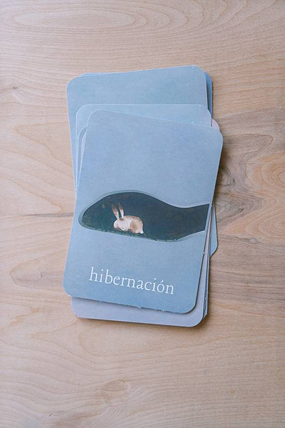 The bilingual vocabulary cards from Acorn School's Hibernation Curriculum.