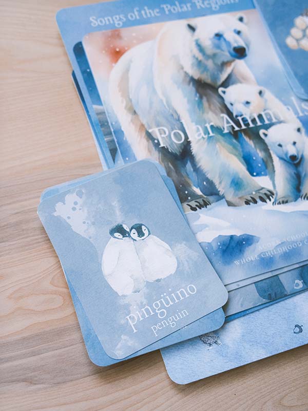 Pages and cards from Acorn School's polar animals curriculum.