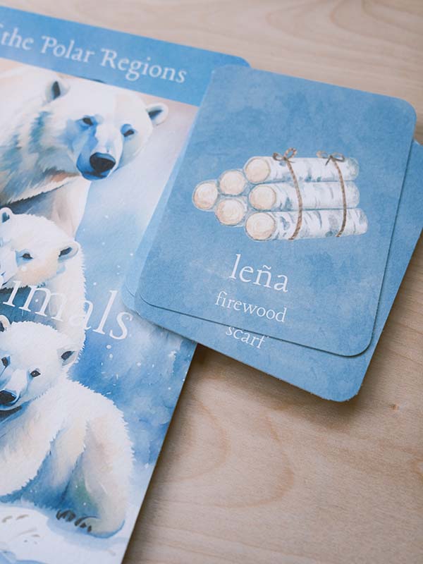 Bilingual vocabulary cards from Acorn School's polar bears curriculum.