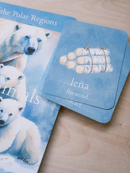 Bilingual vocabulary cards from Acorn School's polar bears curriculum.