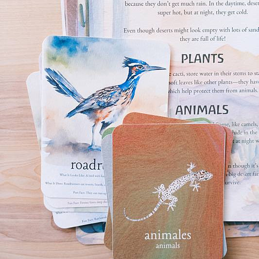 Animal cards, bilingual vocabulary cards, and an educational page from Acorn School's Desert Ecosystem Curriculum.
