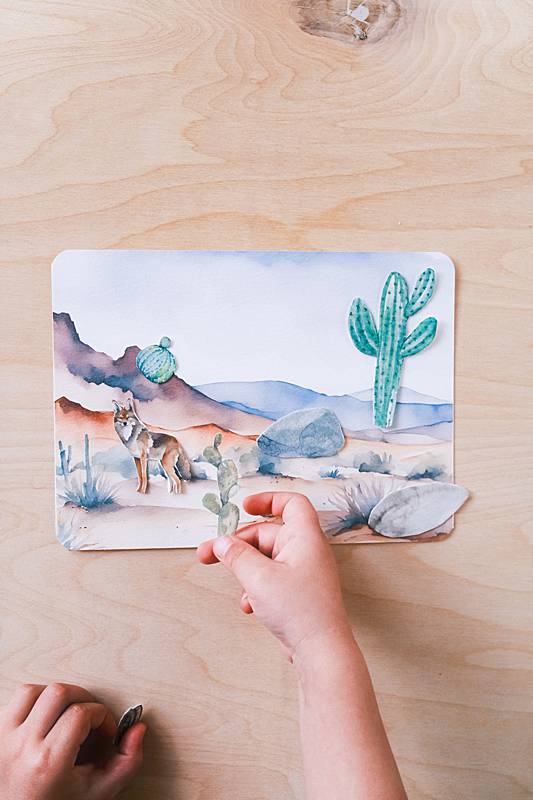 An imaginative play activity from Acorn School's Desert Ecosystem Curriculum.