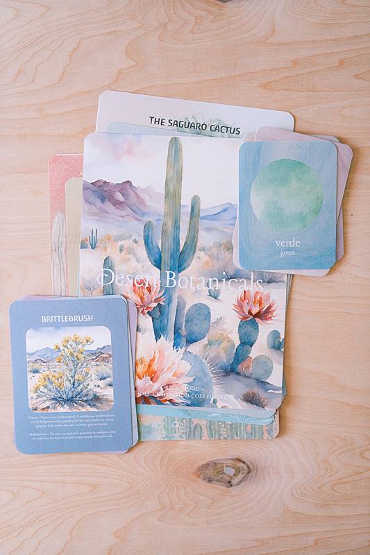 Waldorf-inspired curriculum cards with images of the desert on them