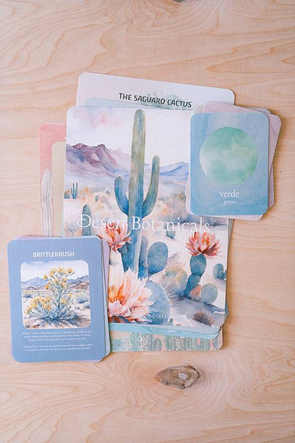 Waldorf-inspired curriculum cards with images of the desert on them