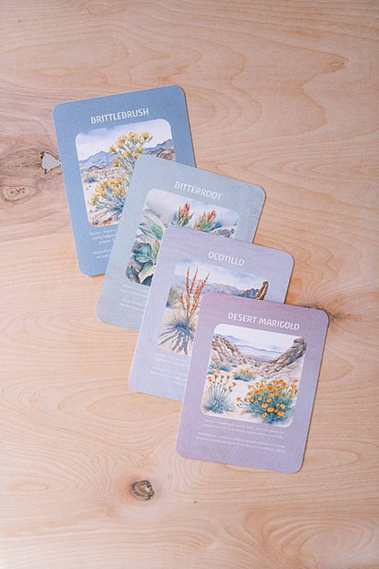 4 cards laid on a table with images of the desert