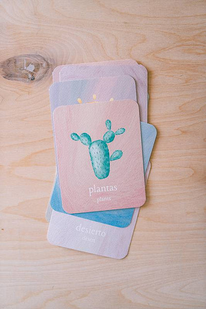 Stack of cards with a picture of a cactus