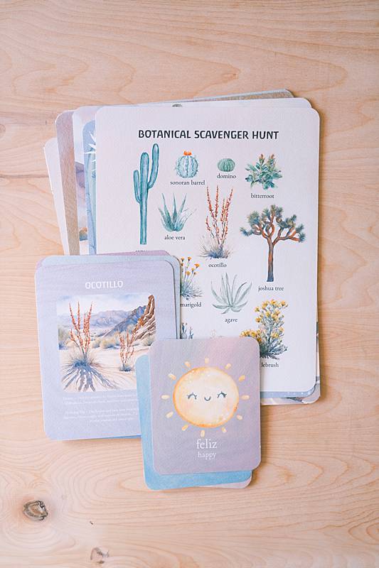 Stack of cards with a botanical desert themed scavenger hunt