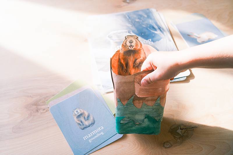 Image of a child's hand building a groundhog themed craft.
