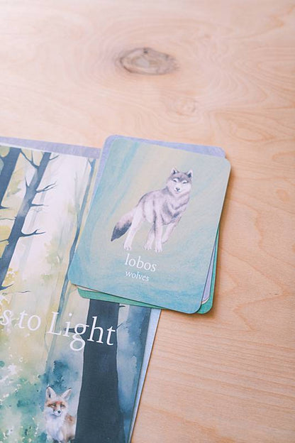 Image of Darkness to Light curriculum cover and Spanish english vocabulary cards.