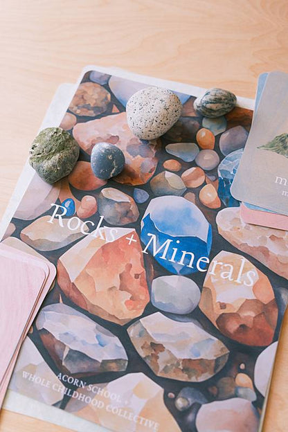 Image of Rocks and Minerals curriculum cover.