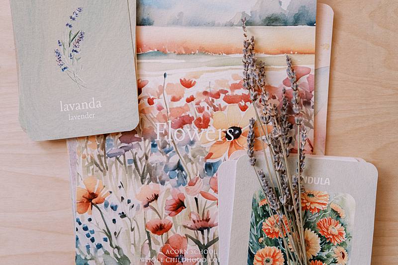 cover of acorn school flowers curriculum
