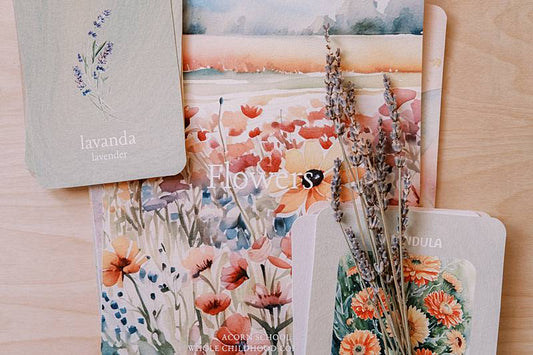 cover of acorn school flowers curriculum