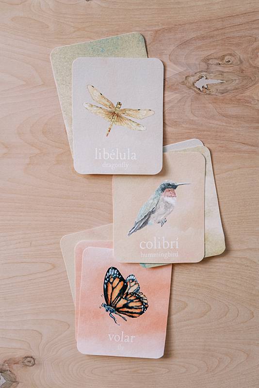 acorn school butterfly curriculum spanish english vocabulary cards