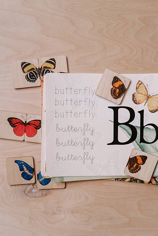 acorn school butterfly curriculum tracing page