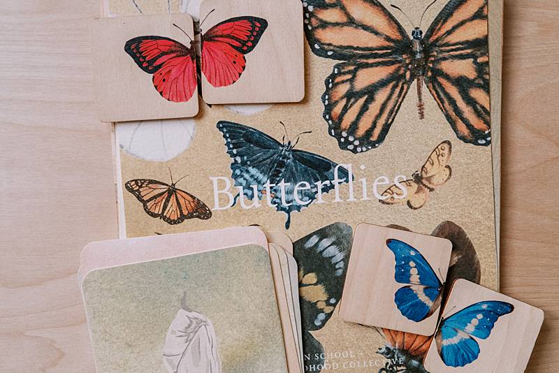 The cover page of Acorn School's Butterflies curriculum.