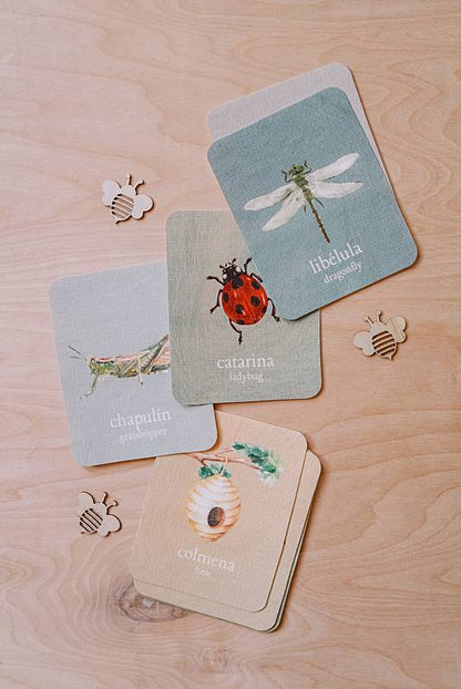 acorn school insects curriculum spanish english vocabulary cards