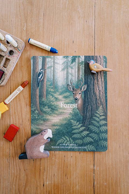 acorn-school-may-forest-curriculum_0001