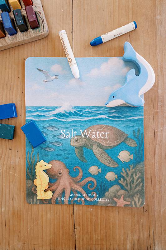 acorn-school-may-salt-water-curriculum_0001