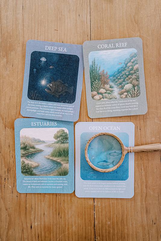 acorn-school-may-salt-water-curriculum_0004
