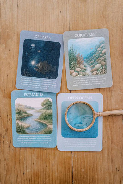 acorn-school-may-salt-water-curriculum_0004