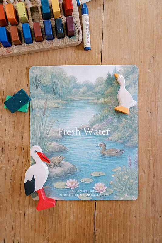 acorn-school-may-fresh-water-curriculum_0001