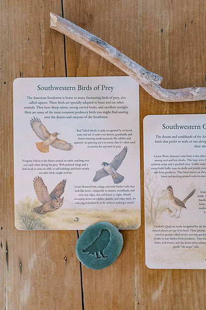 Image of a card with illustrations of bird feathers and real bird feathers laying on top with a magnifying glass.