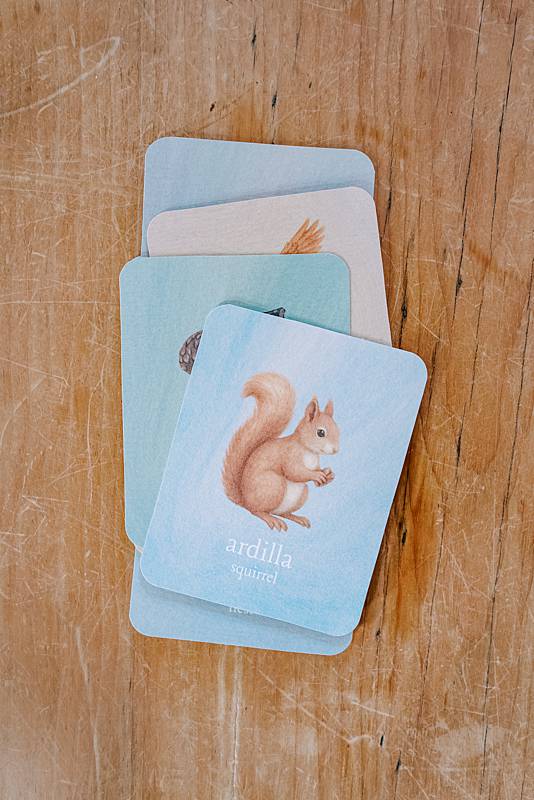 Stack of small cards with an illustration of a squirrel.