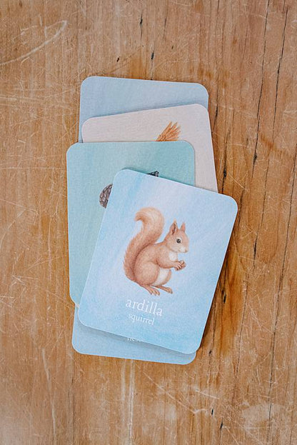 Stack of small cards with an illustration of a squirrel.
