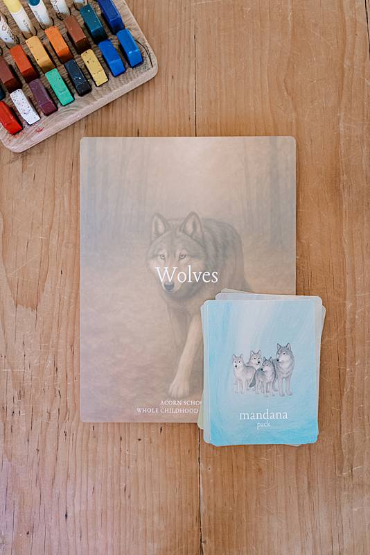 Cards with wolf illustrations