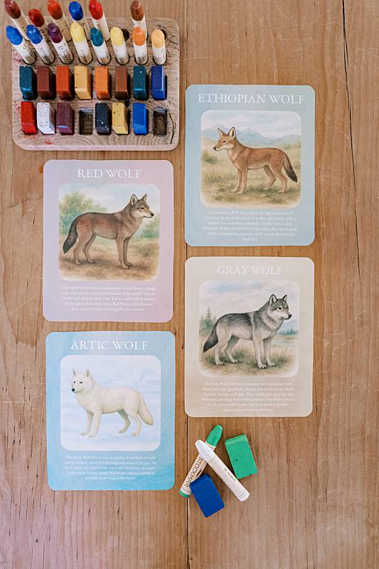 Four cards laying next to crayons