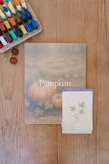 Image of Cards with pumpkin illumination